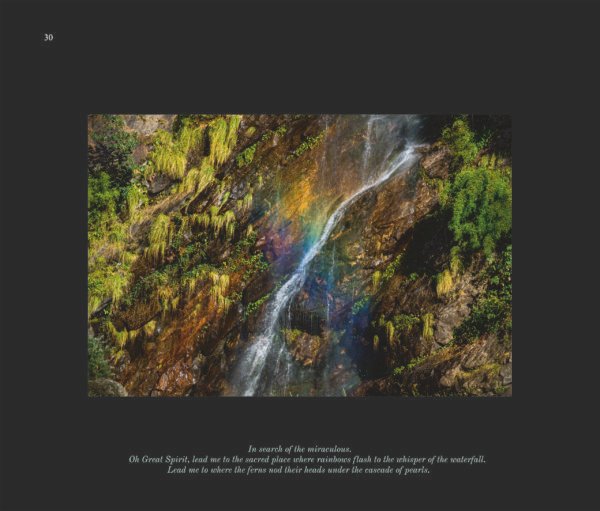 Sacred Forest - Image 5