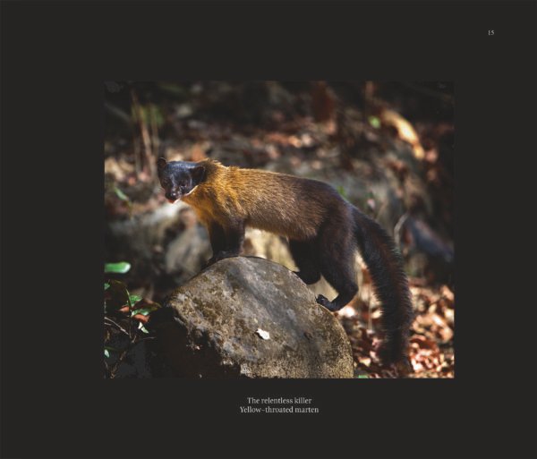 The Spirits of Eden - Image 4