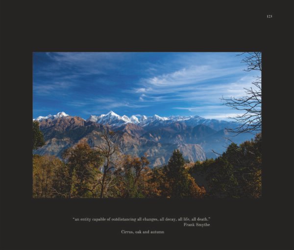 Himvant The Realms of Devi - Image 5