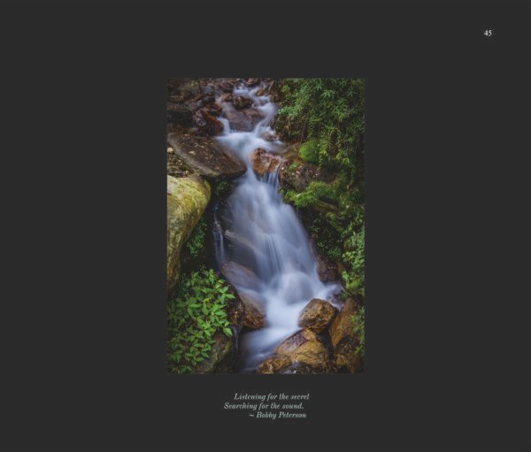 Sacred Forest - Image 3