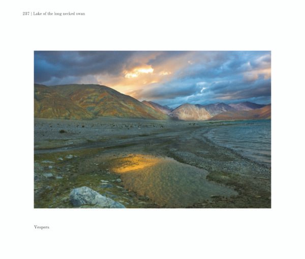 Himvant - The Face Of Tara - Image 2