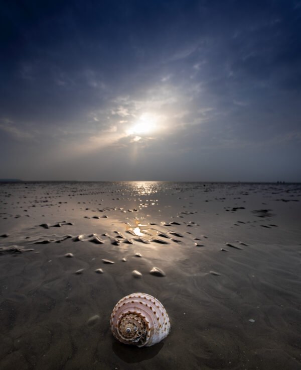 She Who Came From The Sea
