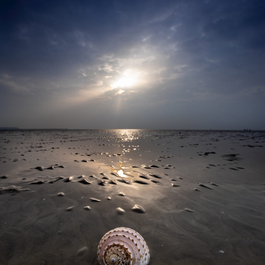 She Who Came From The Sea