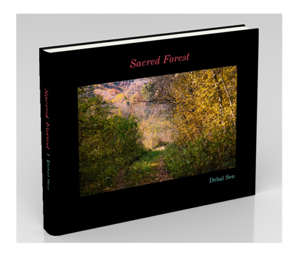 Sacred Forest
