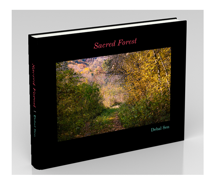 Sacred Forest