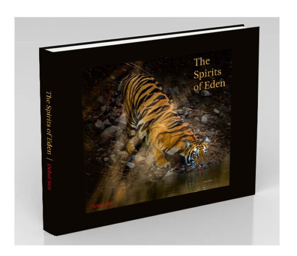The Spirits of Eden