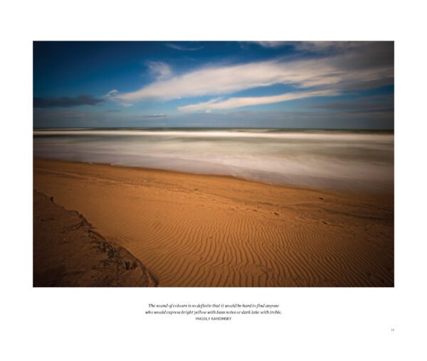 Shores - Image 6