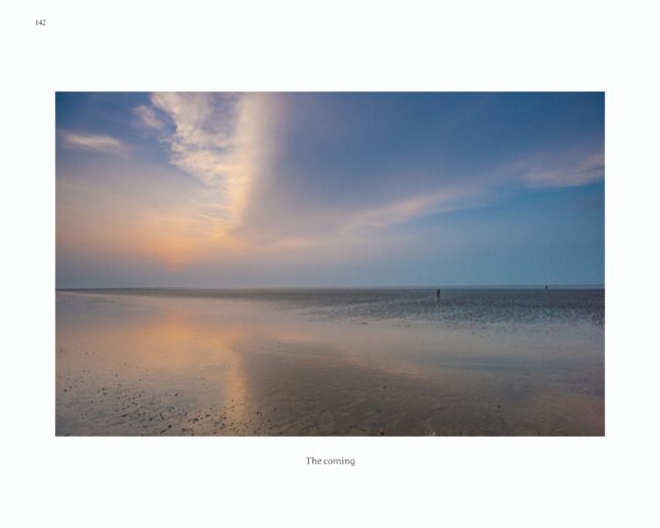Remain in Light - Image 5