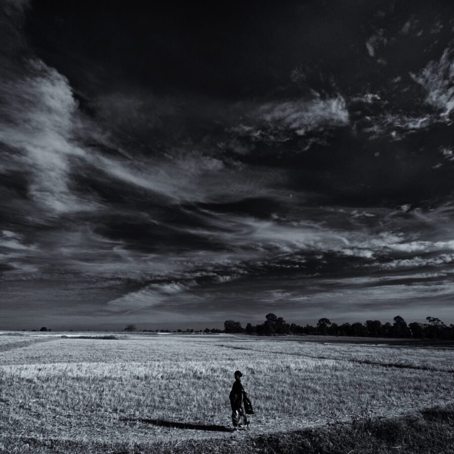 Darkness At Noon