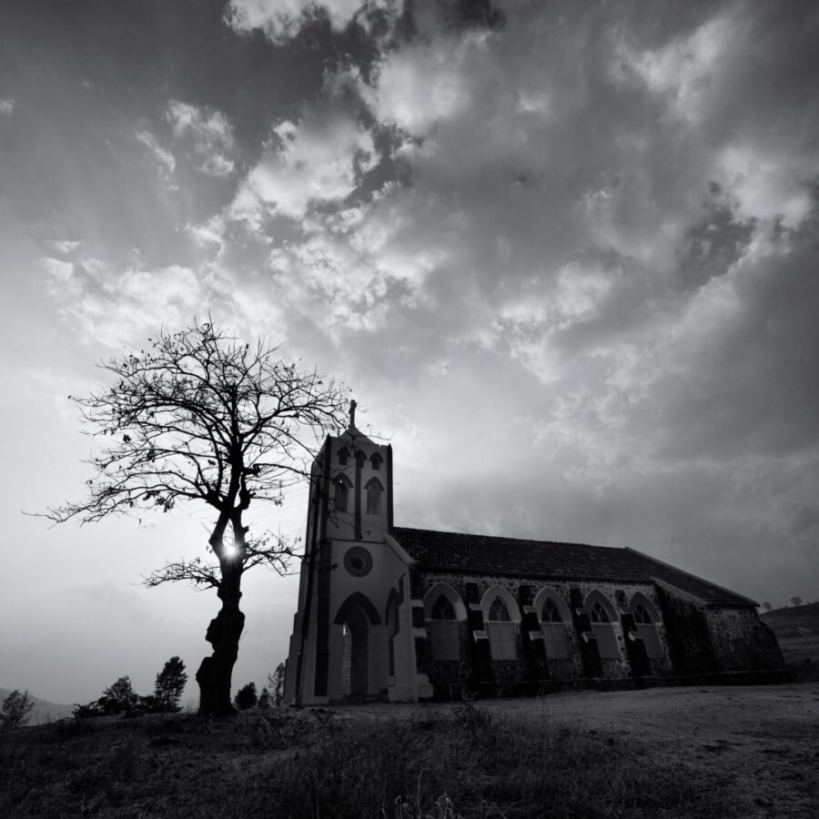 The Abandoned