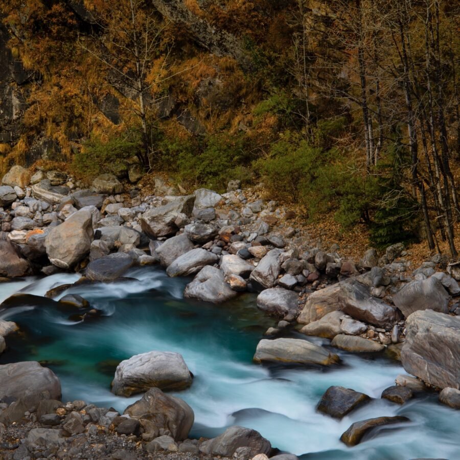 Vishnu Ganga and Autumn Woods