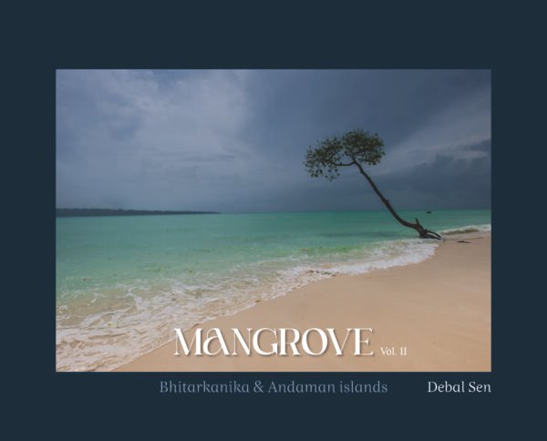 Mangrove Vol 2 - Image 2