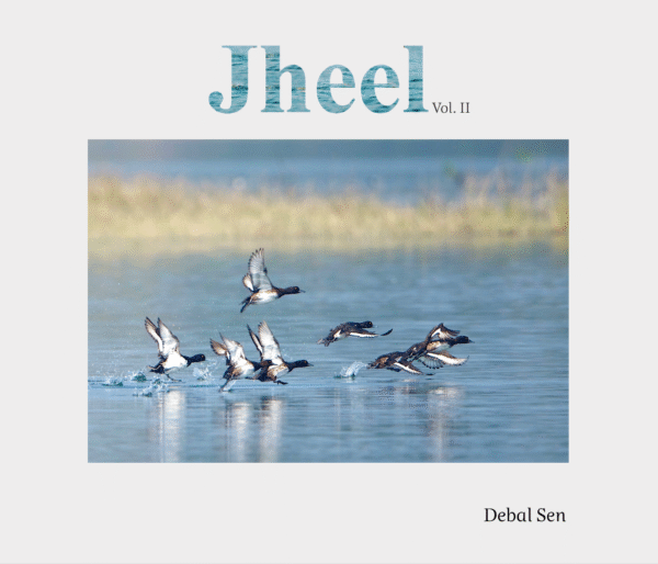 Jheel Vol 2 - Image 6