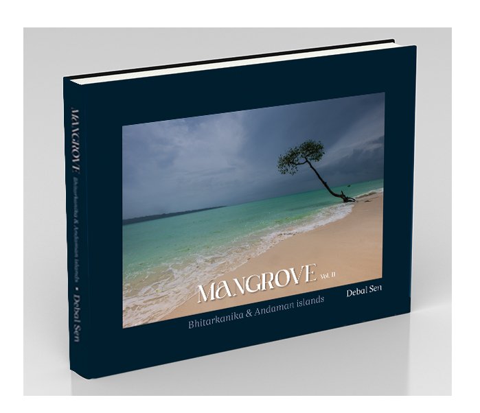 Mangrove Vol 2