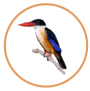 Logo New Color